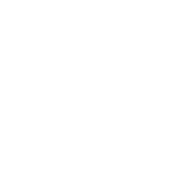 ce logo Lansing