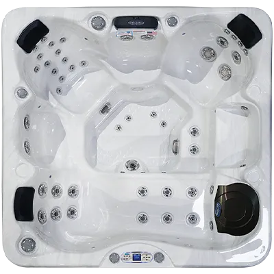 Avalon EC-849L hot tubs for sale in Lansing