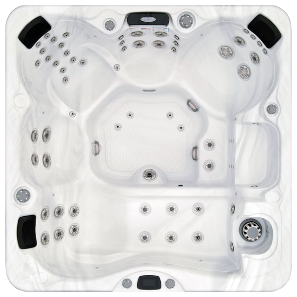 Avalon-X EC-867LX hot tubs for sale in Lansing